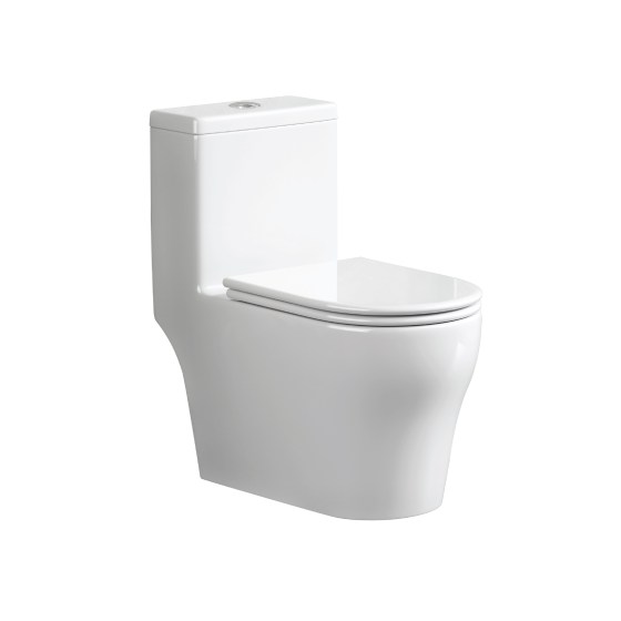 SRTWC8066-S-01