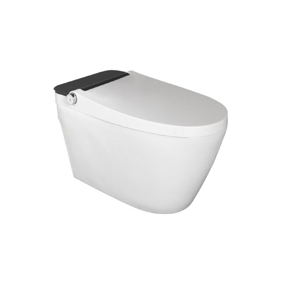 Ceramic Water Closet Malaysia, Toilet Bowl Malaysia